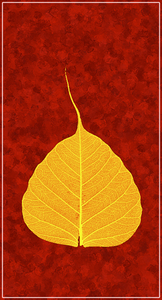 Golden Leaf on Red