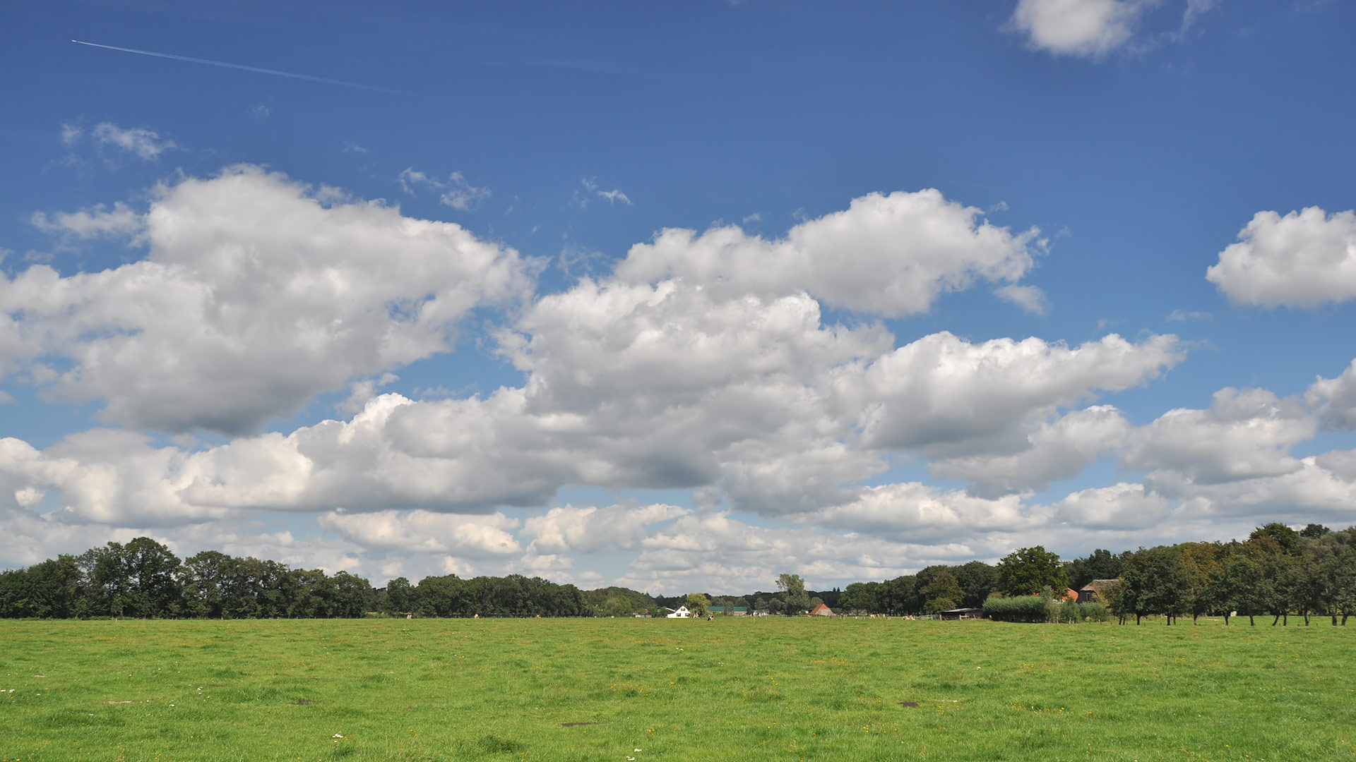 Landscape: Kromme Rijngebied (6)